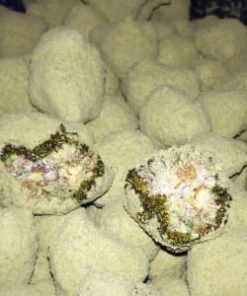 moon rocks for sale